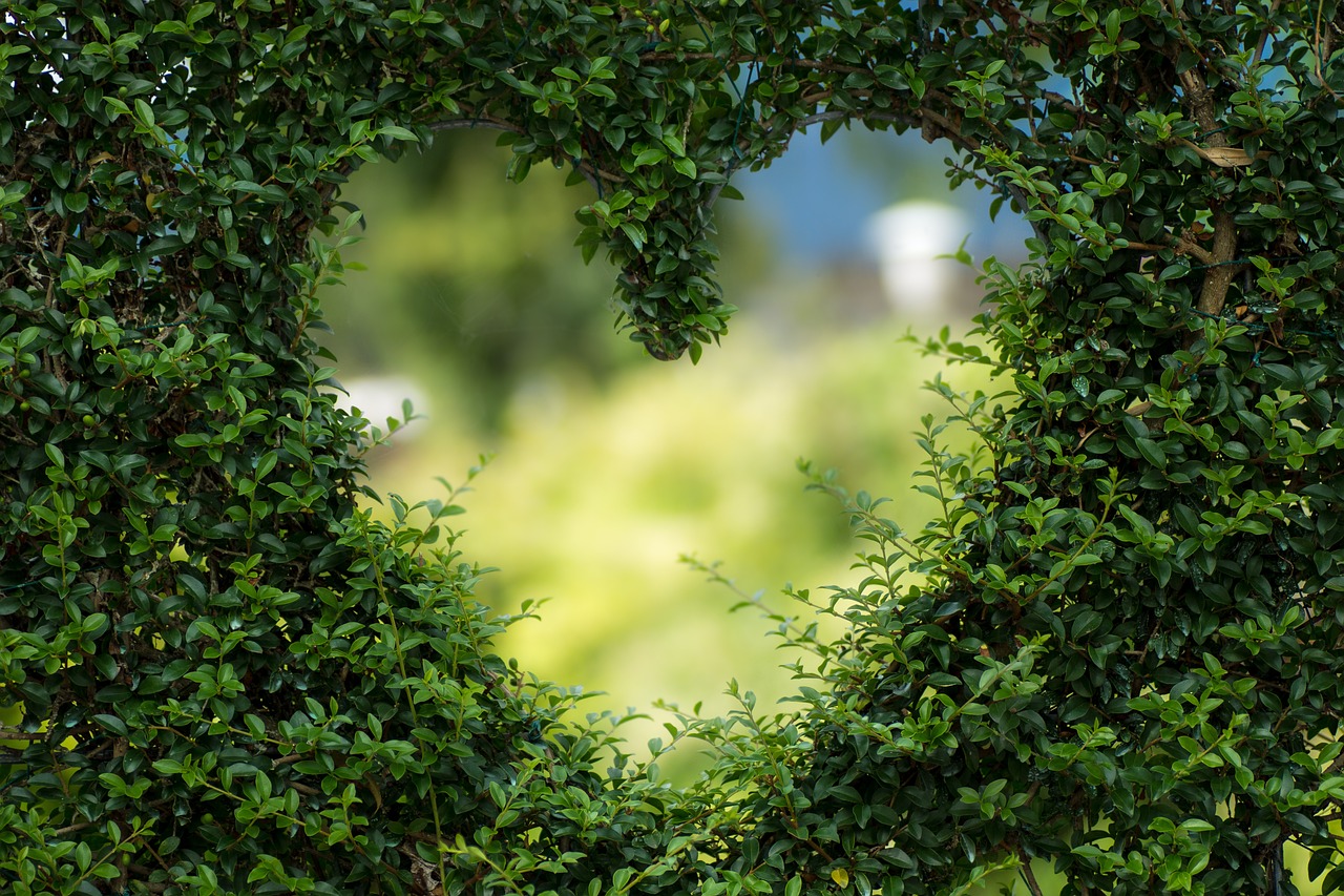 ¿Qué es un rostro forma de corazón?