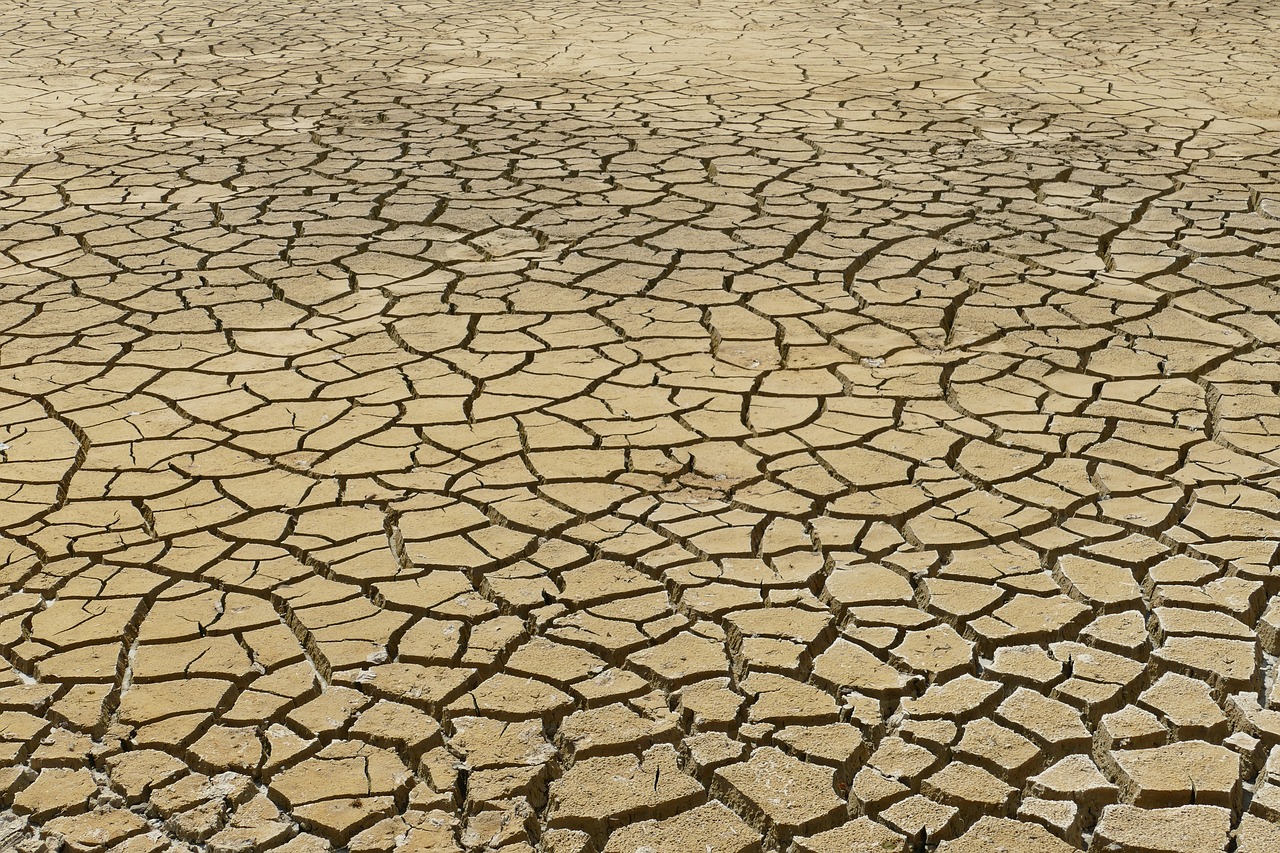 ¿Cómo eliminar líquidos retenidos de forma natural?