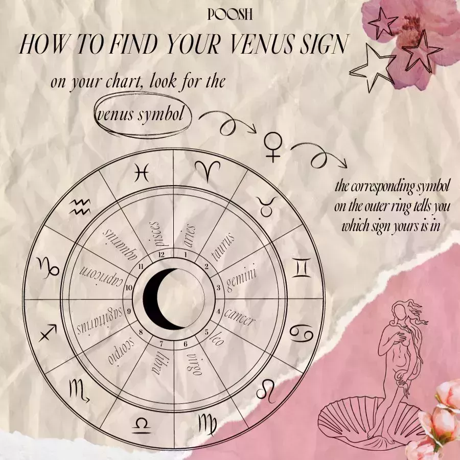 Venus Symbol chart