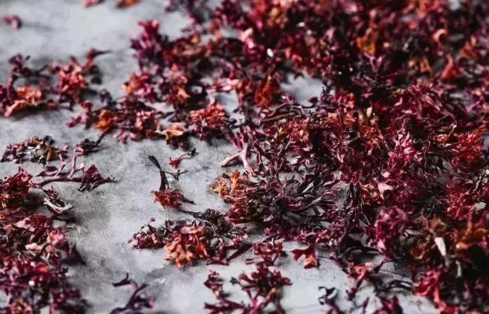 ¿Ayuda el musgo marino irlandés al crecimiento del cabello? Cómo utilizarlo