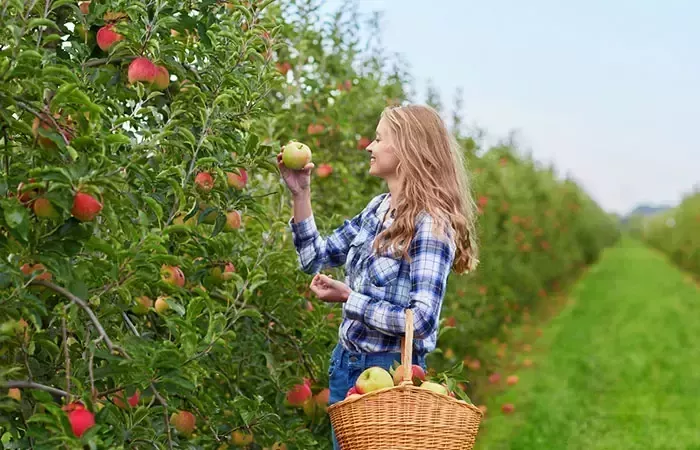 Dieta de frutas para adelgazar: beneficios, riesgos y plan de comidas