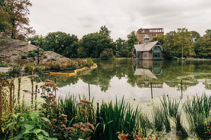 Un nuevo paseo peatonal (izquierda) que está cerca de completarse a lo largo de Harlem Meer, un pintoresco lago que serpentea por gran parte del borde norte de Central Park, en Manhattan.