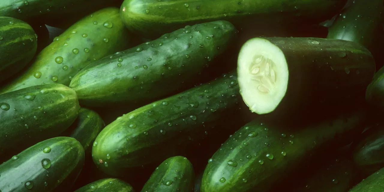 Un Lote de Pepinos ha Sido Retirado Debido a un Brote Generalizado de Salmonela