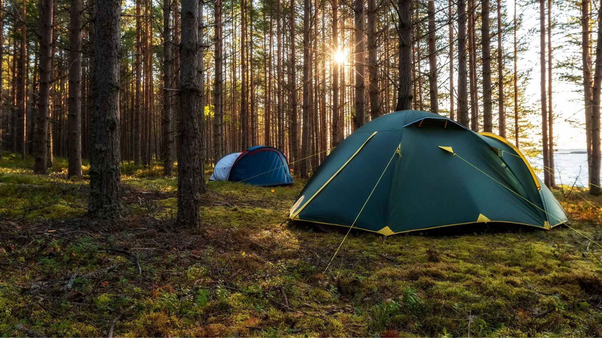 Qué llevar para la experiencia de campamento definitiva, sin importar el clima