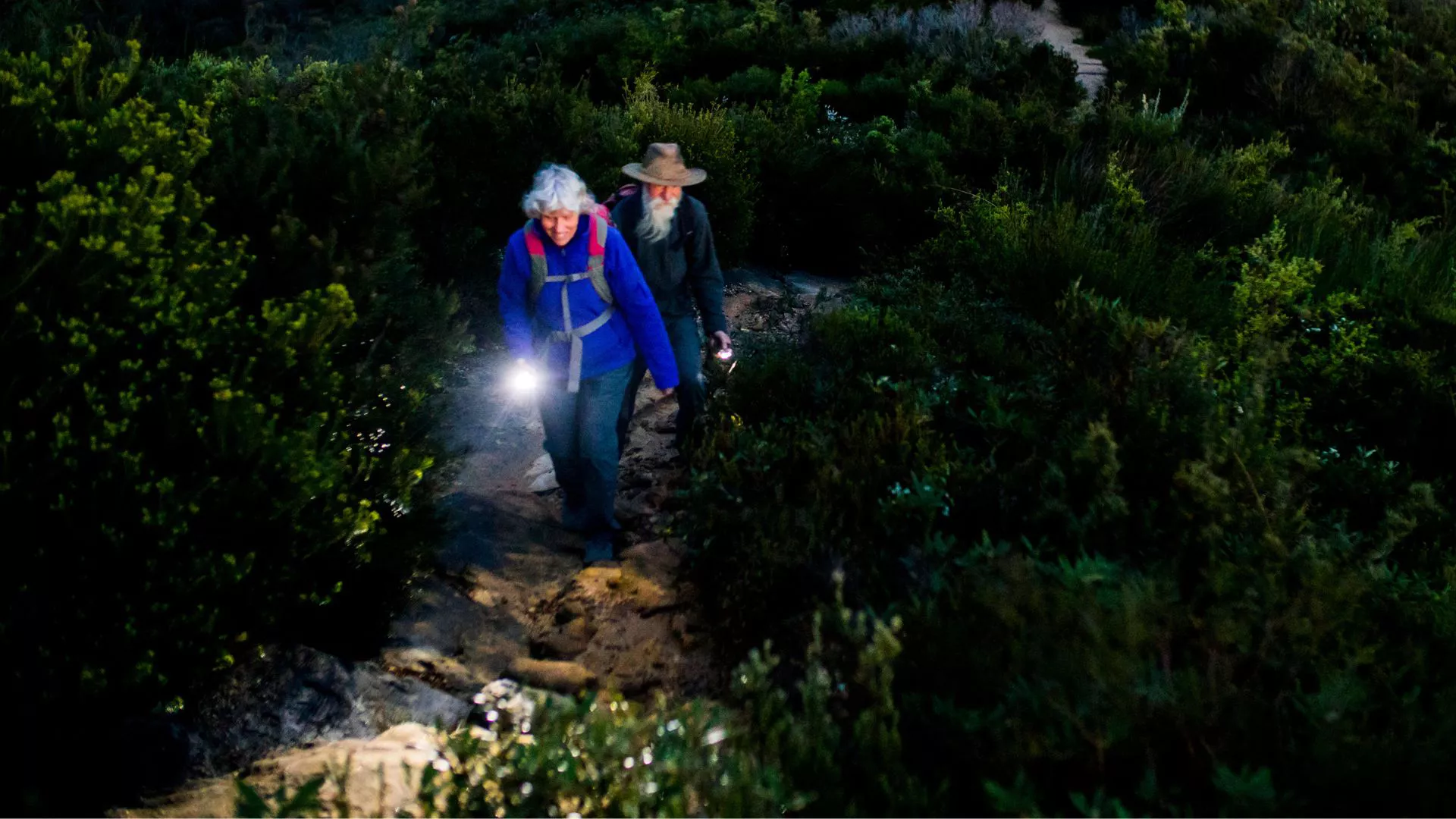 Qué llevar para la experiencia de campamento definitiva, sin importar el clima