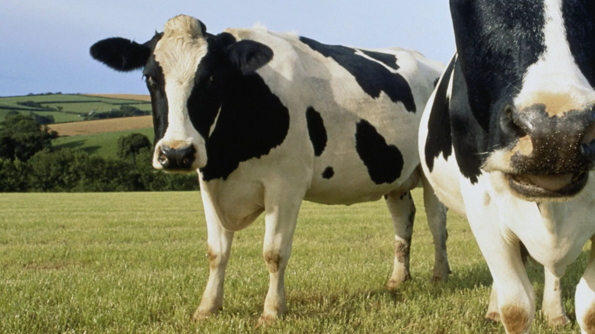 Alimentos ricos en omega 3 para probar hoy para mejorar la salud del corazón y el poder cerebral