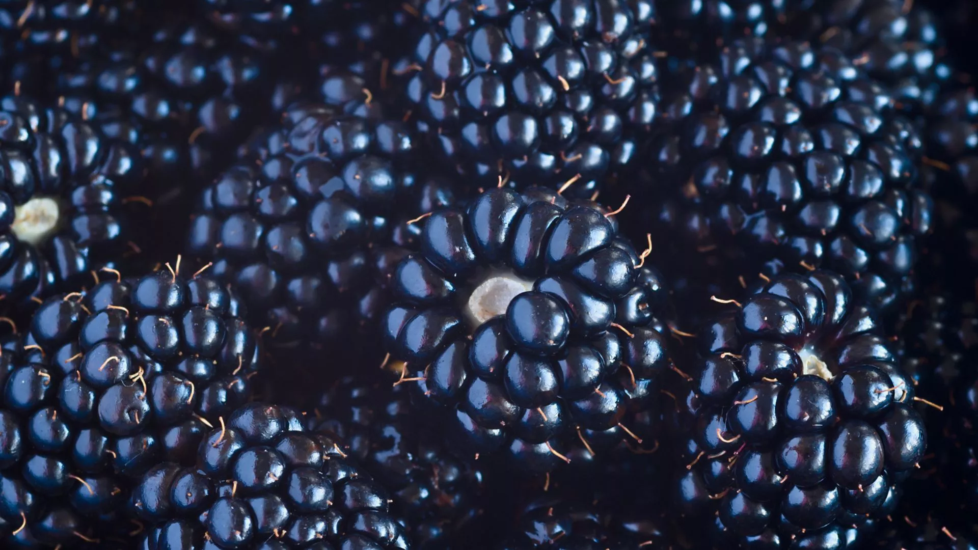 Alimentos ricos en omega 3 para probar hoy para mejorar la salud del corazón y el poder cerebral