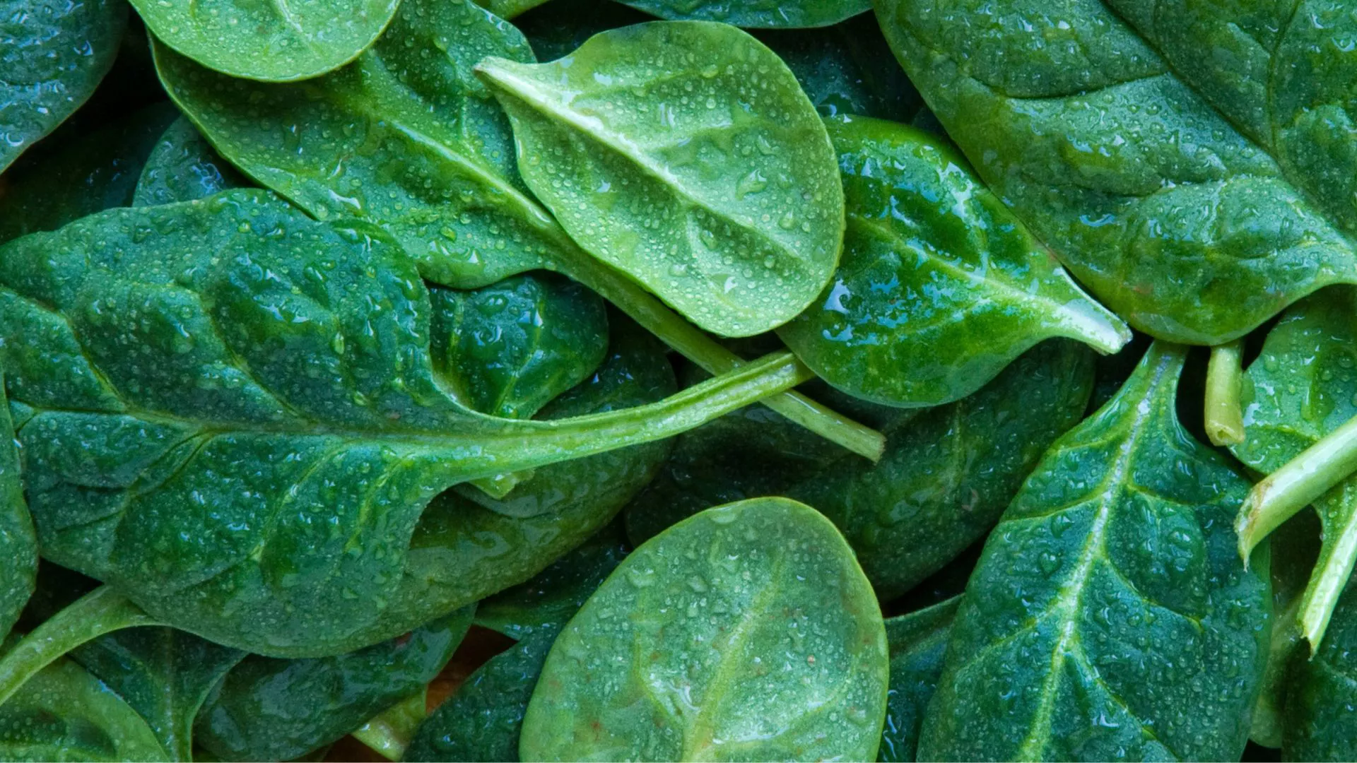 Alimentos ricos en omega 3 para probar hoy para mejorar la salud del corazón y el poder cerebral