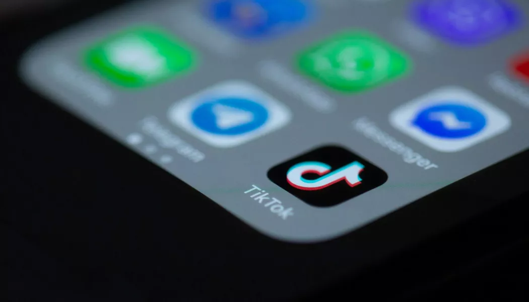 Más Allá de TikTok: La Oportunidad de Estrategias Multiplataforma para Creadores en Belleza