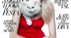 El gato como complemento invernal según Harper's Bazaar Brasil