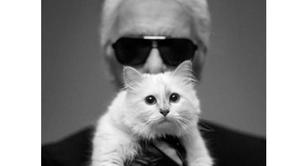 Karl gatuno Lagerfeld 