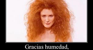 Vuelve la humedad, hazte con un buen anti-frizz