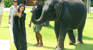 A Kim Kardashian le estropea el selfie un elefante