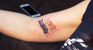 Tatuarte a tu gatito, o cómo luchar contra las leyes surcoreanas de forma adorable