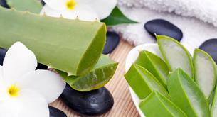 ¿Sabías que el aloe vera es uno de los mejores lubricantes caseros?