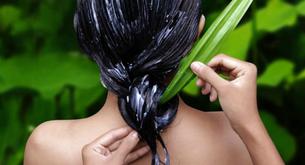 Por qué utilizar el aloe vera para el pelo